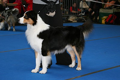 balu